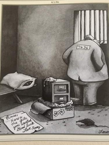 295318179_141353231912937_1787388747539638094_n