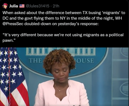 Illegals 1