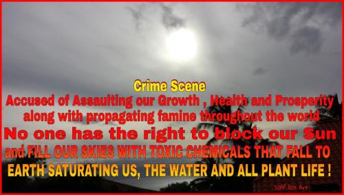 IMG_20220701_141946_802