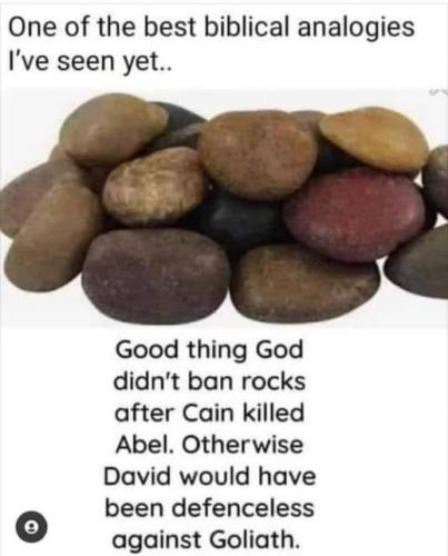 cain_and_david_rocks_banned