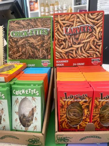 photo_2022-07-24_13-47-29