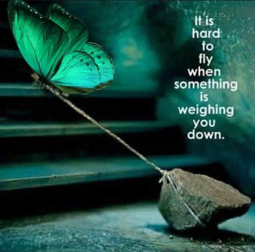 FB_IMG_1658133973125