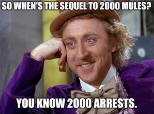 2000 mules22