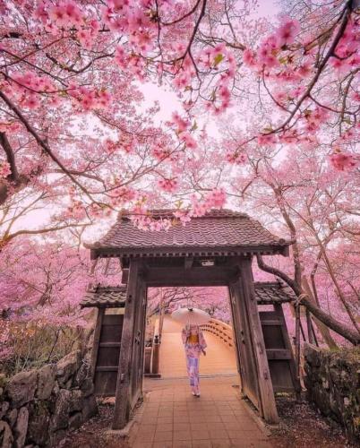 296745345_113449928111555_9092129545876547496_n