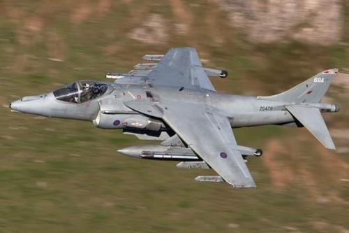 295853884_5343794395706737_7084568904008982847_n