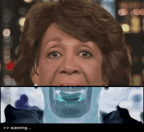 maxine-waters