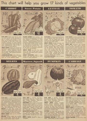 19e67abe984c06e1e639ac9d266239d1