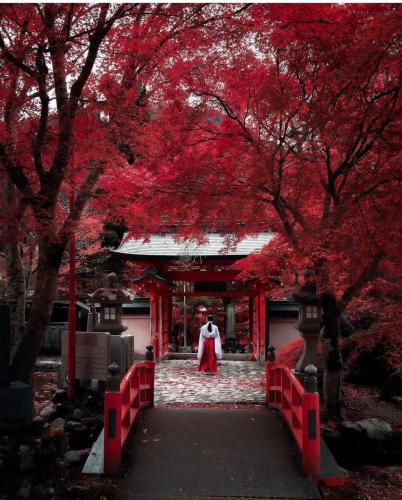 290934123_583160263179980_7391637013049421163_n