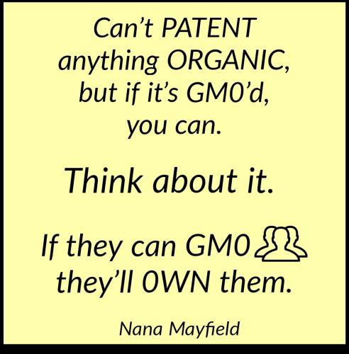 Screenshot_2022-07-09-15-12-39-264_com.google.android.apps.photos~2