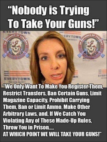 nobody is trying to take your guns