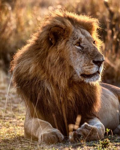 tumblr_6c67bd189cd3a91f4c50f9aae4764b10_a82e9ba9_1280