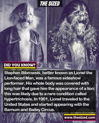 291431722_570462521186736_7054109488908683495_n