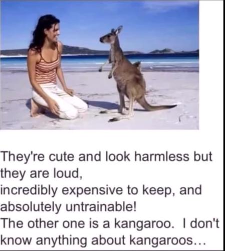 Screenshot_20220713-073054_YouTube