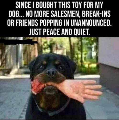 FB_IMG_1658499821370