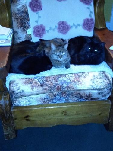 IMG_20220213_193322309