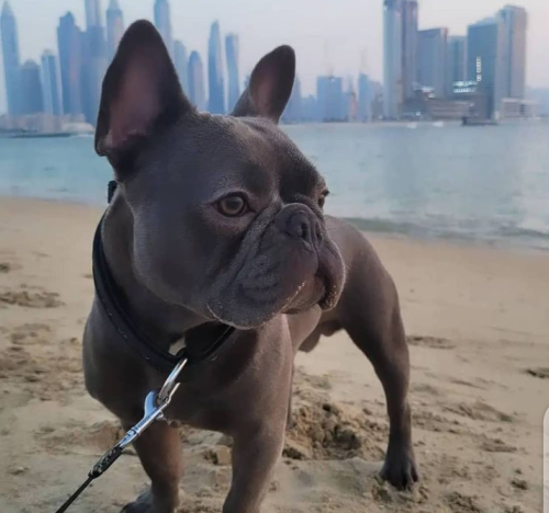 Screenshot_20220720-233146~3