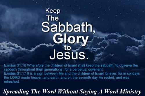 58373967_2289494491132669_3475855833663799296_n