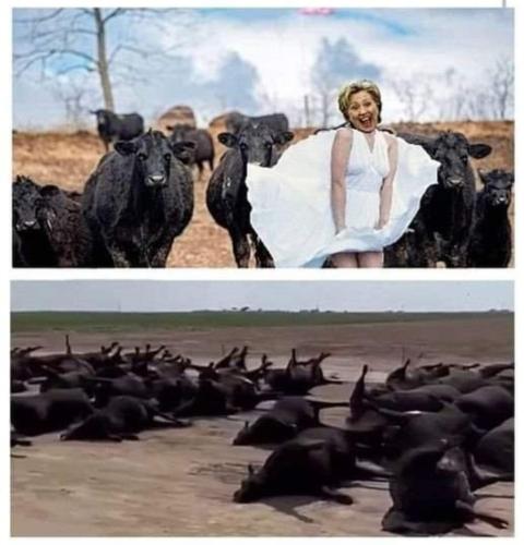 Screenshot_20220728-094556_Wimkin Free Speech Social Media