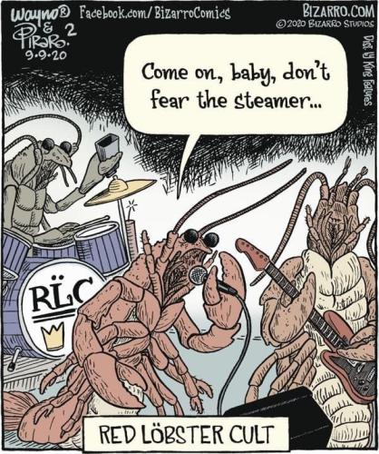 295556445_3125971050989319_5435279408558449772_n