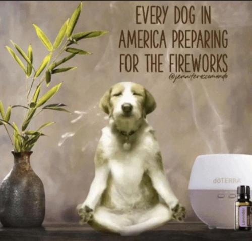 Screenshot_20220704-162840_MeWe