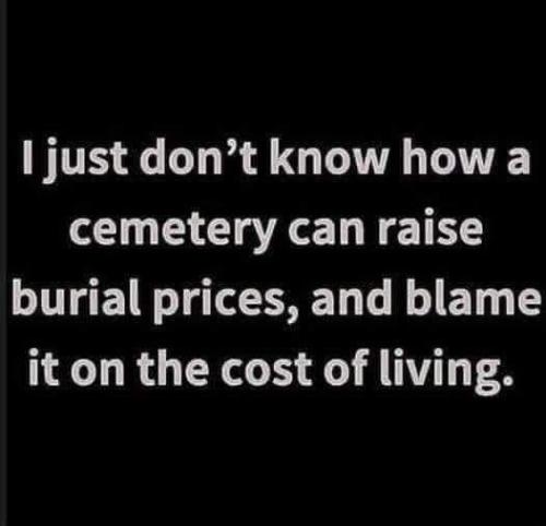 295000701_5705814939451256_6754379719309269005_n
