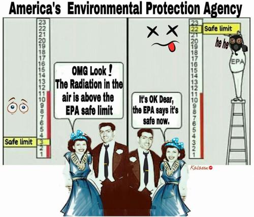 FB_IMG_1540949190833