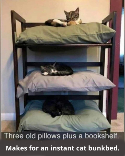 Screenshot_2022-07-11-04-05-58_kindlephoto-150969515