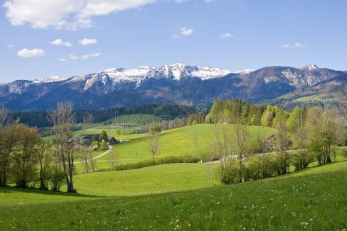 alpine-farm-land-5227006