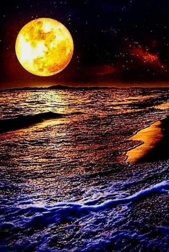 293474970_568542171415995_7656280957040345595_n