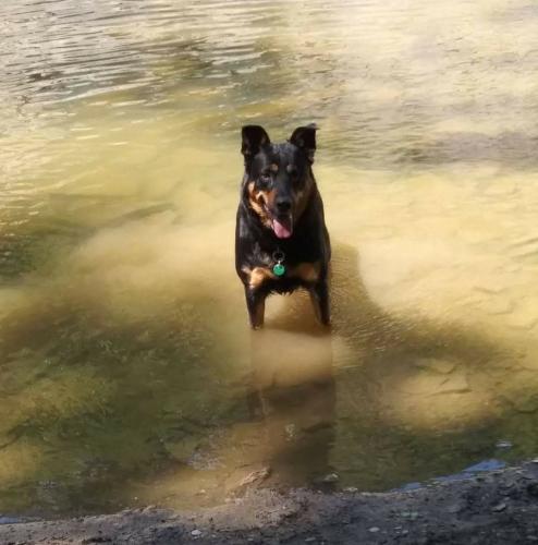 Screenshot_20220622-083835