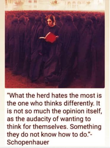 download - 2022-07-01T122029.319