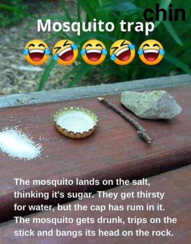 291936175_10160113164131798_6199742380637036713_n