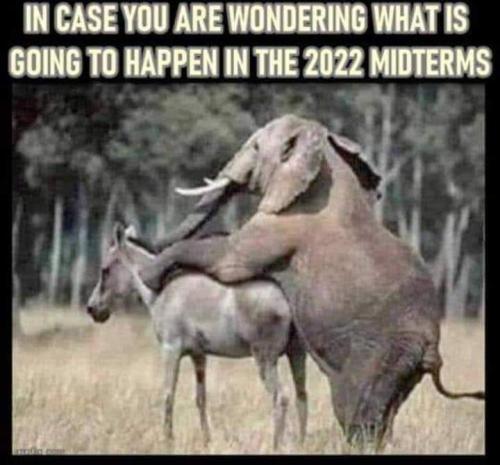 FB_IMG_1658451889991