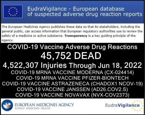 Screenshot_2022-07-07-02-30-03_kindlephoto-293522300