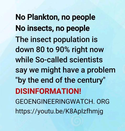 No plankton no ppl