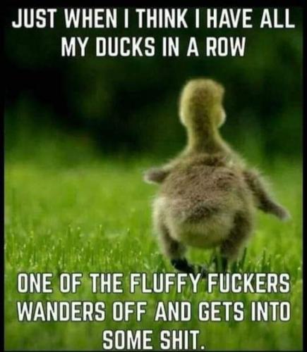 FB_IMG_1658852641198