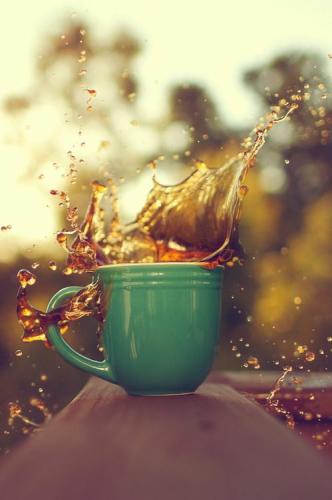 b53a5bd97bb98ddbc43d963bddcd1bd9