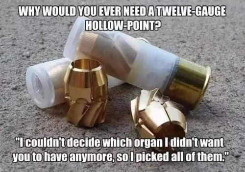 FB_IMG_1658784746331