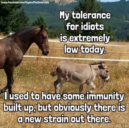 240246827_572480067499121_8867476772548717038_n