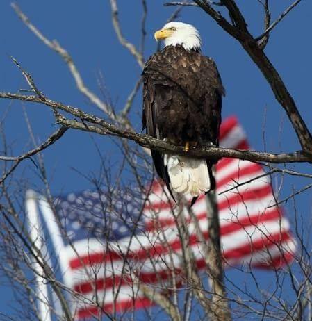 13327397_10208131035131018_282180135504458403_n_10208131035131018