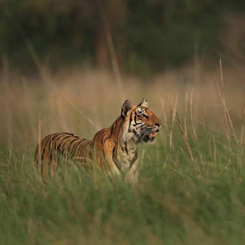 tumblr_c73186da028d679801b9e938bb2b6ecd_84be20b3_540