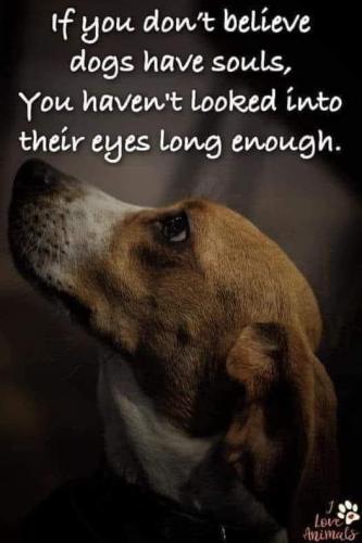 FB_IMG_1657155632563