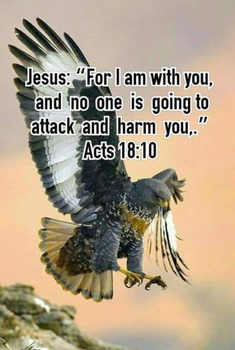 FB_IMG_1658278219161