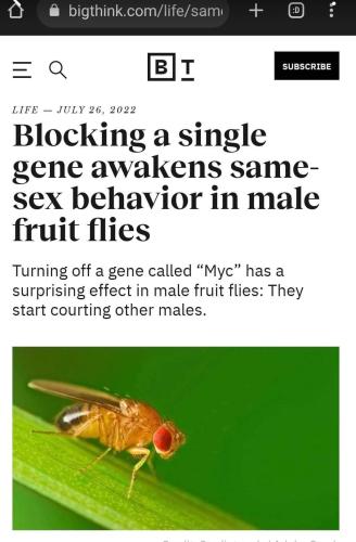 Screenshot_2022-07-29-06-34-14-807_com.facebook.mlite~2