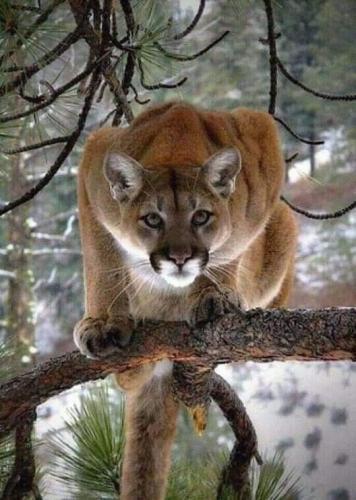 tumblr_0682eb734d6e12fd746b00863133503c_48bc2934_540