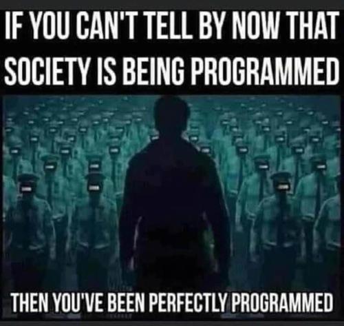 162497423_4413535425341030_5137523928219362888_n