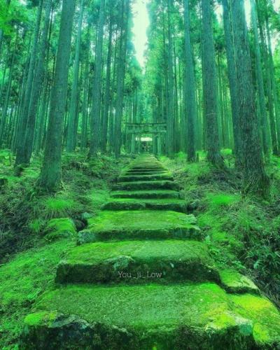 296216161_573480614406414_1465440106140313180_n