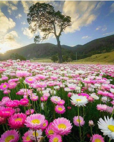 tumblr_0735137ef88d7d64884a6472a122aa54_16c93290_540