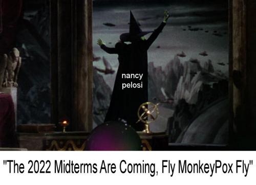 monkeypox33