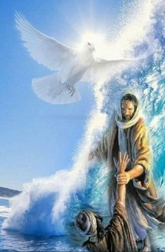 FB_IMG_1658134418466